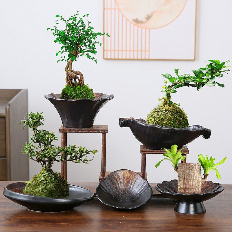 Ceramic Hydroponic Moss Ball Fern Planter with Tray for Desk Decor