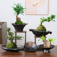 Ceramic Hydroponic Moss Ball Fern Planter with Tray for Desk Decor