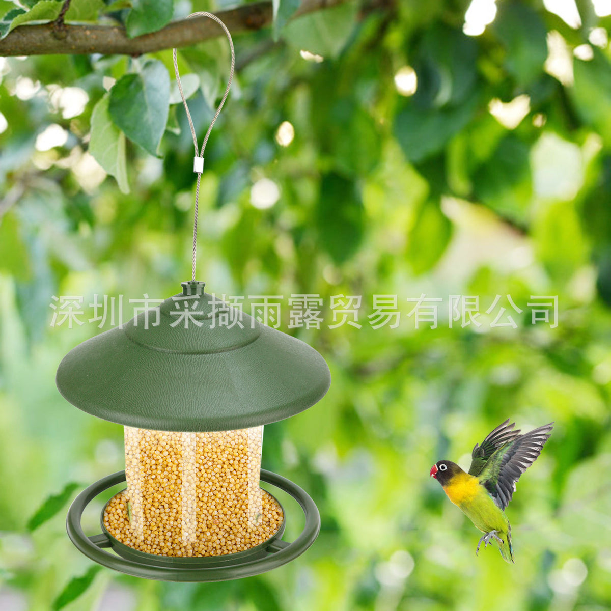 Automatic Hanging Bird Feeder for Outdoor Use