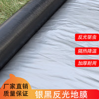 Dual-Color Reflective Mulch Film for Agriculture, Weed Control, and Moisture Retention