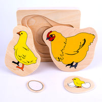 Montessori Multi-Layer Puzzle Board for Kids, Educational Cognitive Toy for Animal and Plant Life Cycles