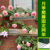 Garden Trellis Netting for Climbing Plants, Roses, and Vines - Wall-Mounted Support