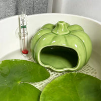 Turtle Hideaway House Aquarium Decoration Ceramic Shelter for Reptiles and Small Pets