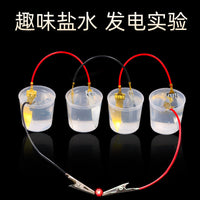 Fruit Battery Science Experiment Kit with Zinc and Copper Electrodes