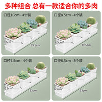 Rectangular Succulent Planter with Detachable Tray for Windowsill & Desktop