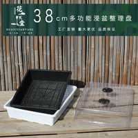Thickened Multi-functional Succulent Plant Soaking Tray with Seedling Starter and Humidity Dome