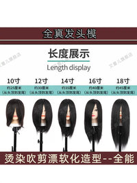 Professional Human Hair Mannequin Head for Hairdressing Practice
