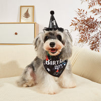Pet Birthday Party Hat and Bandana Set for Dogs and Cats