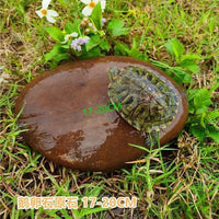 Natural Flat Pebble Turtle Basking Platform for Aquarium Terrarium, Reptile Climbing Rock, Fish Tank Decor with Hiding Cave