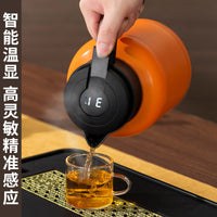 304 Stainless Steel Smart Temperature Display Insulated Tea Kettle with Filter, Large Capacity