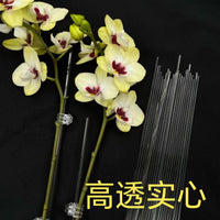 Solid Acrylic Garden Support Stakes Plant Fixing Rod Anti-Lodging Support for Orchid Flower Spikes