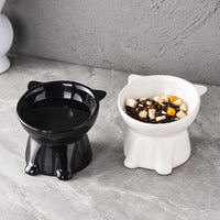 Elevated Ceramic Cat Bowl with Neck Protection and Anti-Vomit Design, Large Capacity Pet Food Dish
