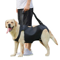 Dog Mobility Harness for Injured, Disabled, or Elderly Dogs