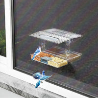 Transparent Wall-Mounted Bird Feeder for Parrots and Small Birds - No-Drill Suction Cup Design