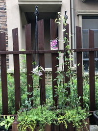 European Style Wrought Iron Climbing Plant Trellis for Potted Plants