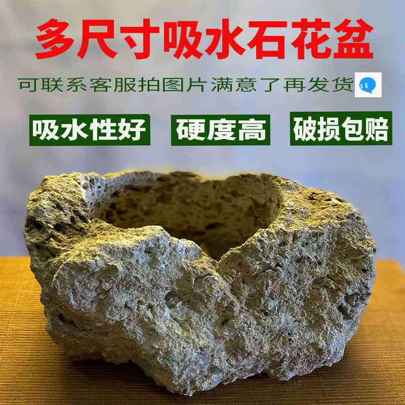 Natural Absorbent Stone Planter Base Micro Landscape Aquarium Ornament