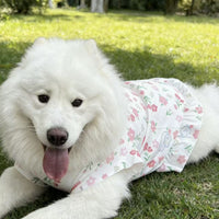 Breathable Summer Dog Dress Vest for Large Dogs, Lightweight Princess Style with Flutter Sleeves