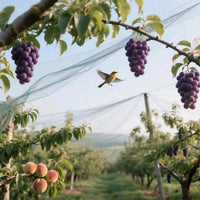 Orchard and Garden Anti-Bird Netting for Crop Protection and Poultry Enclosures
