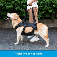 Dog Mobility Aid Harness for Injured, Disabled, or Senior Dogs - Front/Rear Leg Support Sling for Walking & Stairs