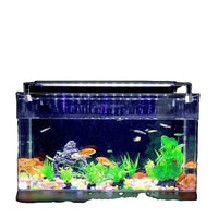 Acrylic Desktop Fish Tank with Landscaping Options for Goldfish and Small Aquatic Life