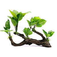 Artificial Driftwood Anubias Aquarium Decor