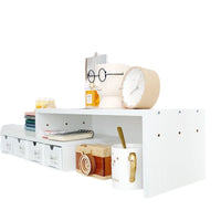 Desktop Monitor Stand with Storage Organizer for Home Office