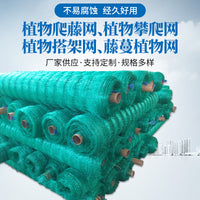 Garden Plant Trellis Netting for Climbing Plants
