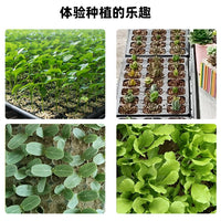 Seedling Starter Trays with Drainage Holes and Bottom Trays for Garden and Greenhouse