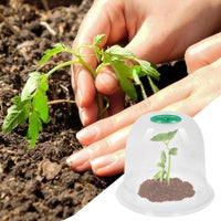 Plant Seedling Cover Greenhouse Warmth Retention Round Square Breathable Plastic PET Transparent Garden Protection