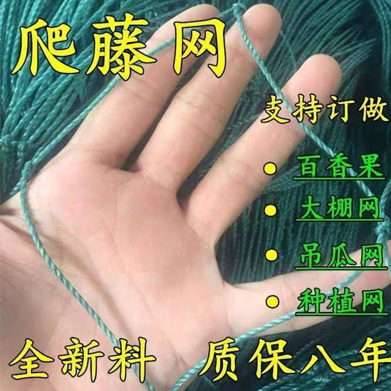 Heavy-Duty Plant Climbing Net for Fruits, Vegetables, and Flowers - Garden Trellis Netting for Courtyards and Farms