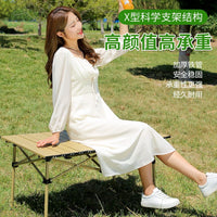 Portable Folding Camping Table with Storage Bag for Outdoor BBQ Picnic