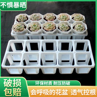 Thickened Octagonal Plastic Succulent Planter Pot for Home Gardening and Seedling Propagation