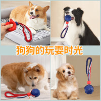 Pet Dog Chew Toy with Elastic Rope for Training and Teeth Cleaning - Bone or Tire Shape