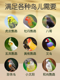 Automatic Bird Feeder with Husk Separation for Parrots, Anti-Splash & Spill-Proof Design