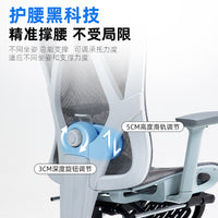 Ergonomic Office Chair with Lumbar Support and Reclining Function