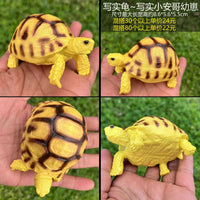 Realistic Tortoise Model Reptile Craft Ornament for Sulcata Red-Footed Radiated Hermann's Tortoises