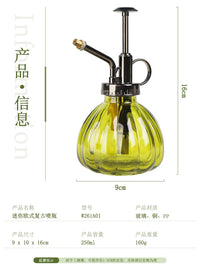 Vintage Glass Plant Mister Spray Bottle for Indoor Gardening and Succulents