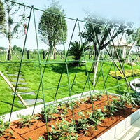 Adjustable Steel Pipe Trellis for Climbing Plants, Cucumber, and Vegetable Support