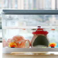 Aquarium Ceramic Hideaway Decor for Fish, Shrimp, and Turtles