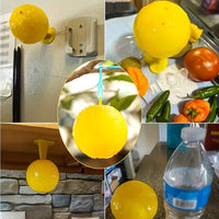 Fruit Fly Trap Indoor Killer for Small Flying Insects, Kitchen Gnat and Bug Catcher, Sticky Ball Lure