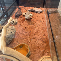 Reptile Desert Calcium Sand Substrate for Lizards and Geckos, Terrarium Decor