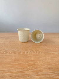 Succulent Planter Pot, Japanese Style Plastic Flower Pot for Haworthia and Cactus, Thickened Round Design