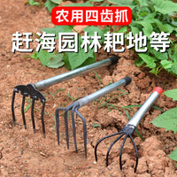 Seashell Clam Rake with Iron Handle for Beachcombing and Farming
