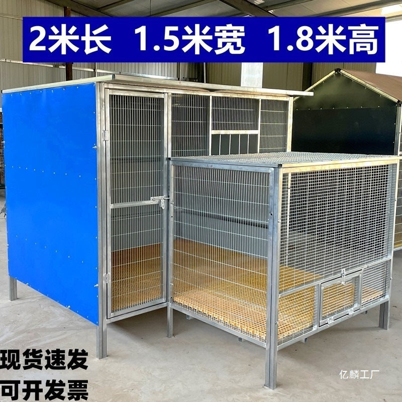 Large Outdoor Pigeon Loft with Flat Roof and Flight Area for Racing Pigeons