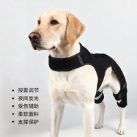 Dog Rear Leg Brace for Injury Support and Joint Protection