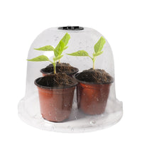 Plant Seedling Cover Dome with Humidity and Temperature Control for Garden