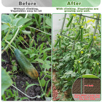 U-Shaped Cucumber Trellis for Garden Climbing Plants, Easy Assembly