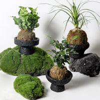 Creative Cement Planter for Succulents and Moss, Indoor/Outdoor Balcony Green Plant Pot