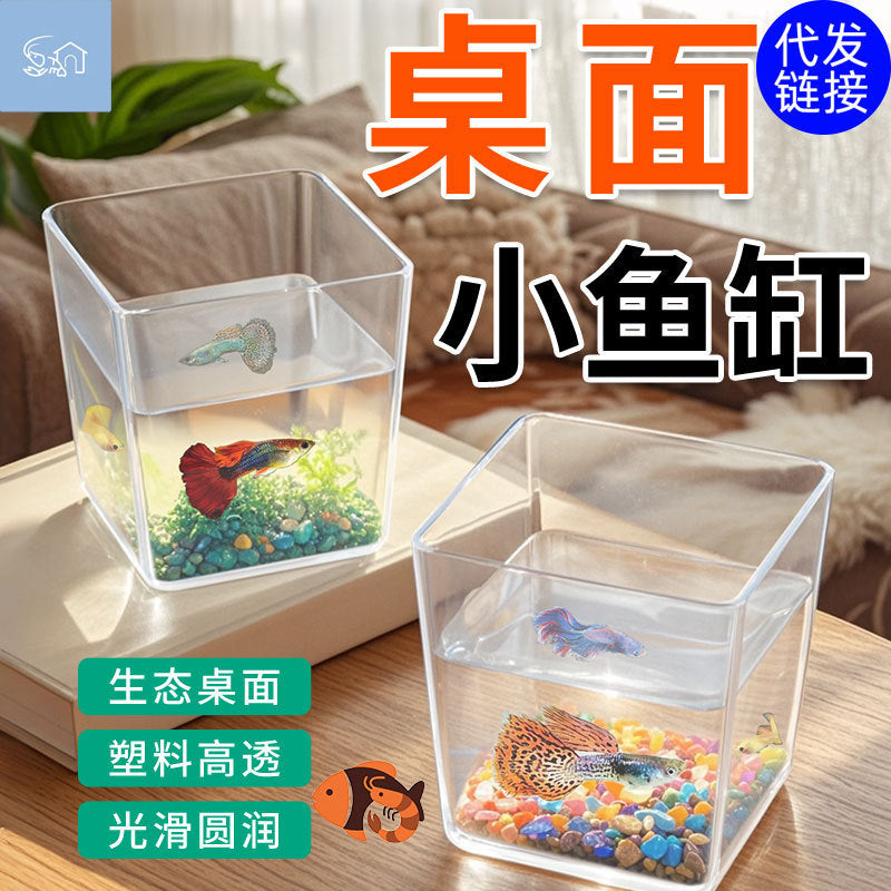 Mini Desktop Clear Fish Tank for Office Living Room, Small Ecological Aquarium