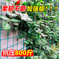 Plant Trellis Netting for Climbing Vegetables and Flowers, Heavy-Duty Support for Vines, Beans, Cucumbers, and More